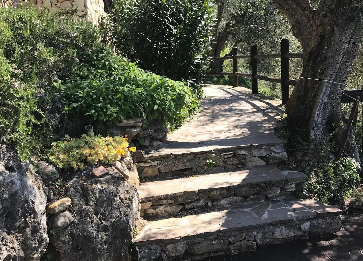 La Lucertola Holiday home Ripafratta Pugnano