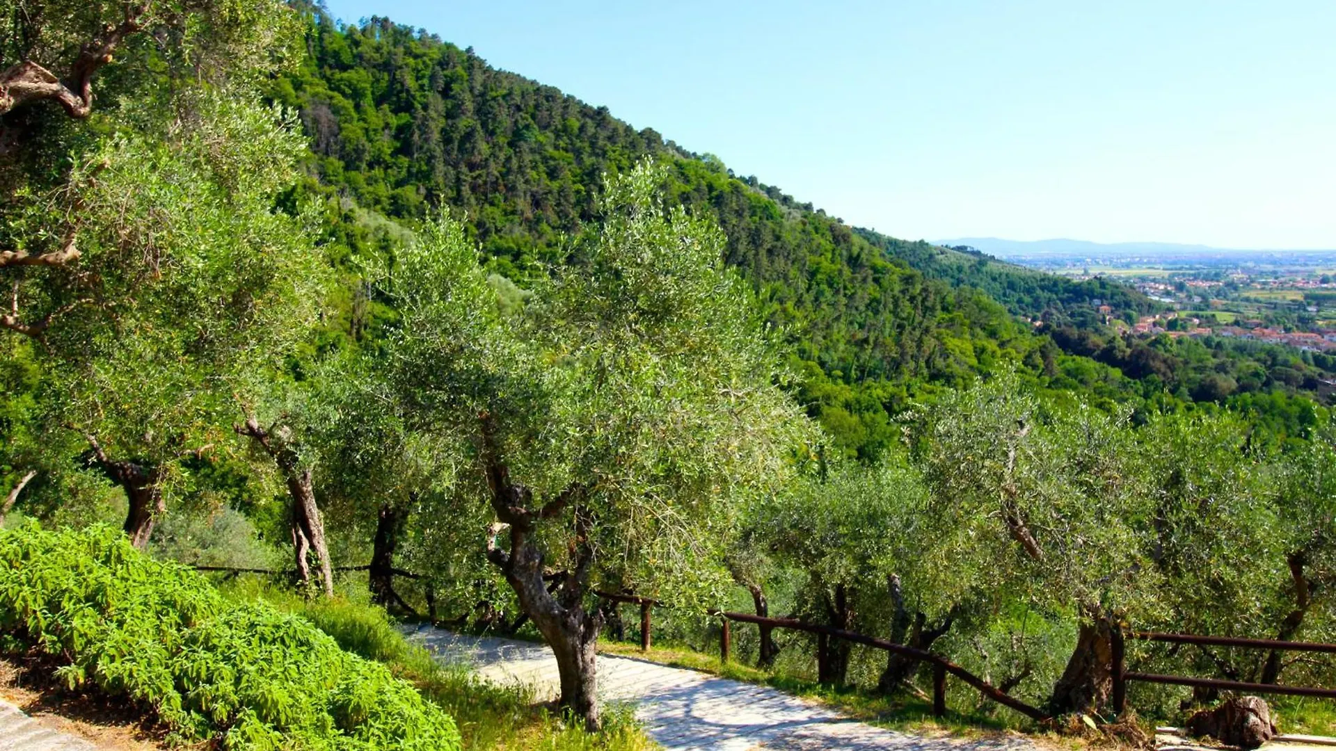 La Lucertola Holiday home Ripafratta
