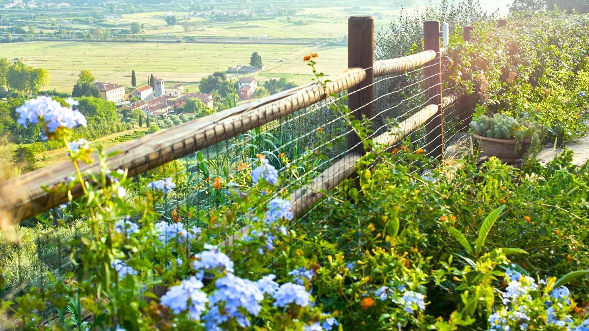 La Lucertola Holiday home Ripafratta Italy