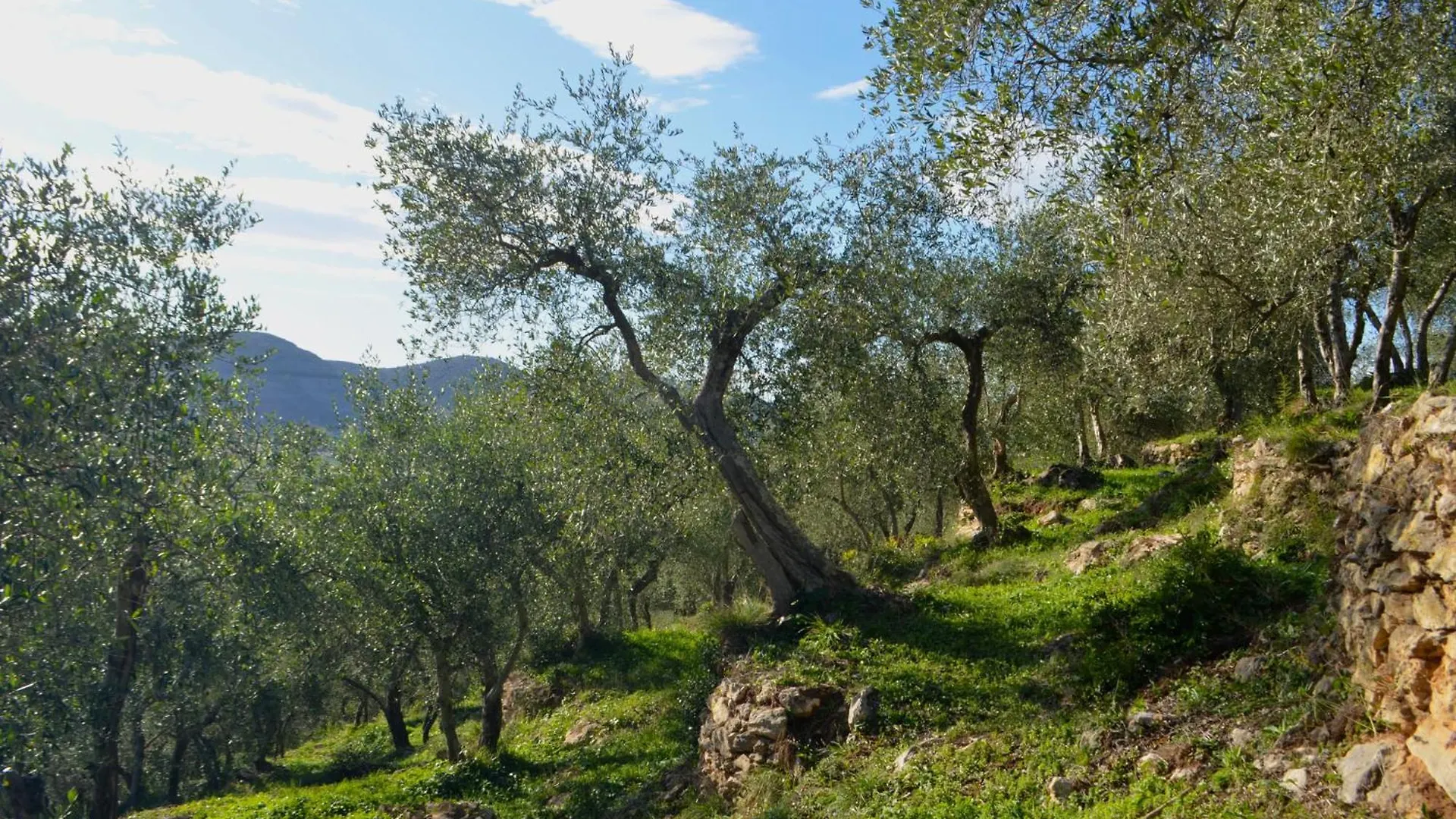 La Lucertola Holiday home Ripafratta