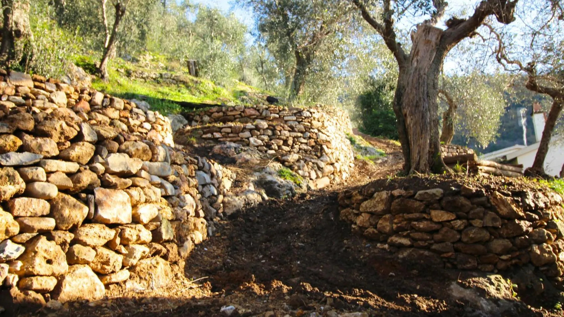 La Lucertola Holiday home Ripafratta
