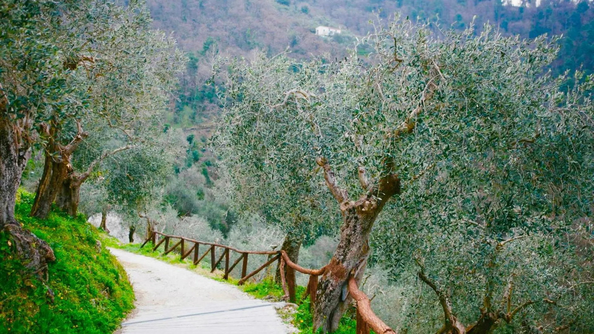 La Lucertola Holiday home Ripafratta  Pugnano