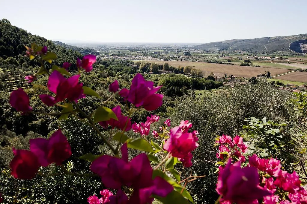 La Lucertola Holiday home Ripafratta