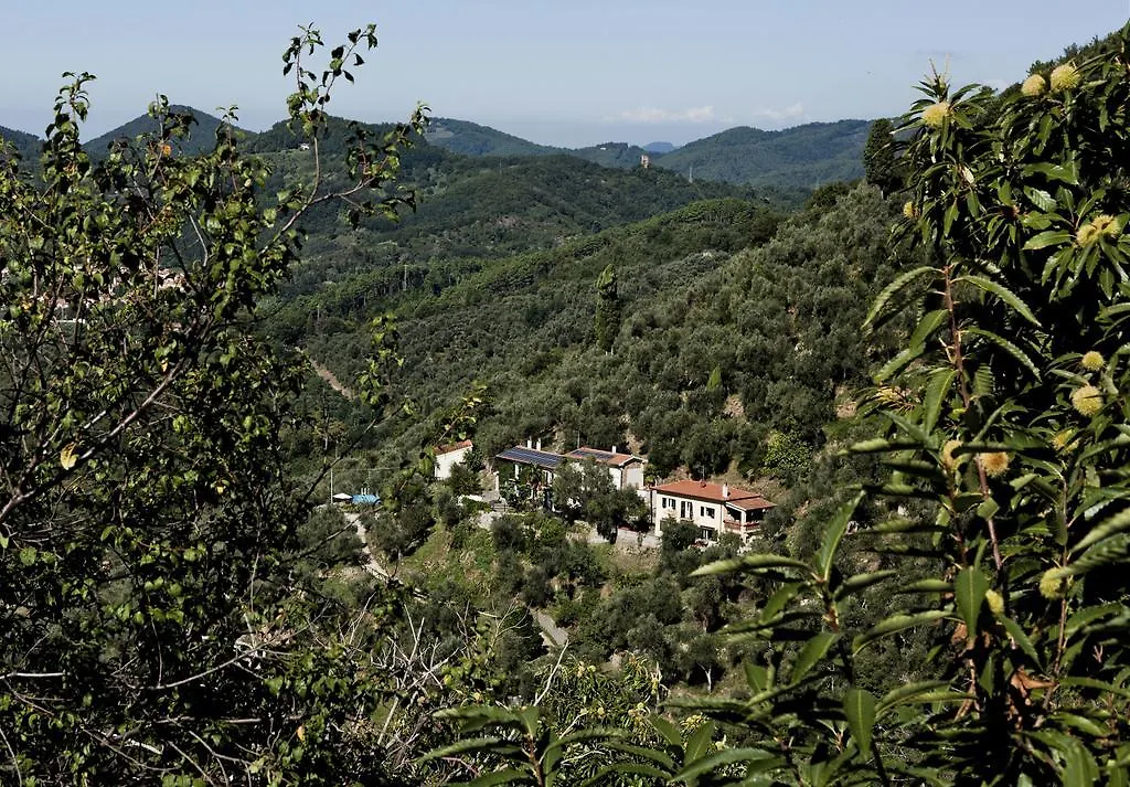 La Lucertola Holiday home Ripafratta