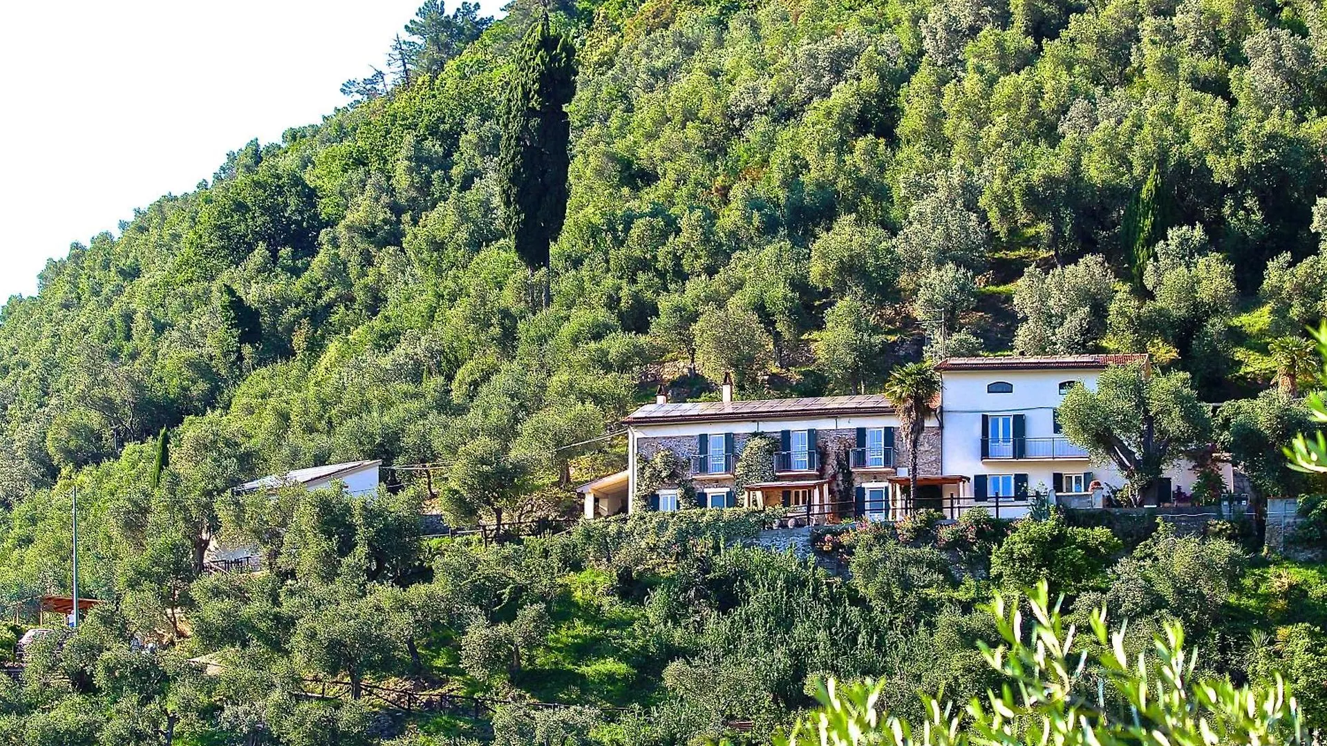 La Lucertola Holiday home Ripafratta