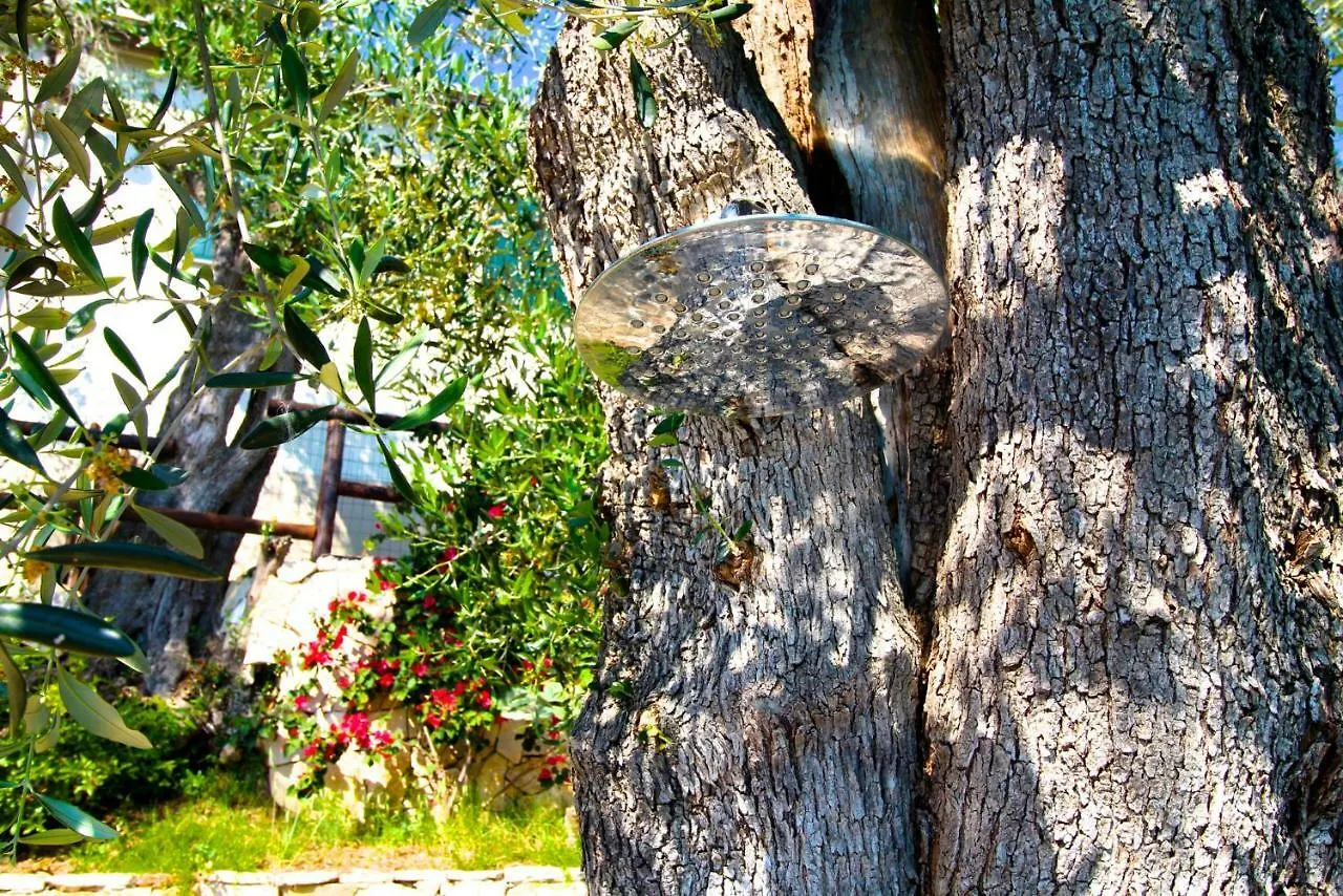 La Lucertola Holiday home Ripafratta Italy