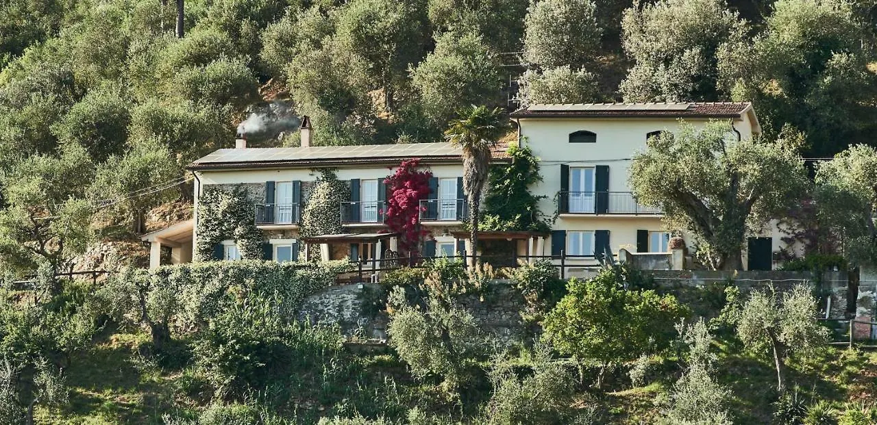 La Lucertola Holiday home Ripafratta Italy